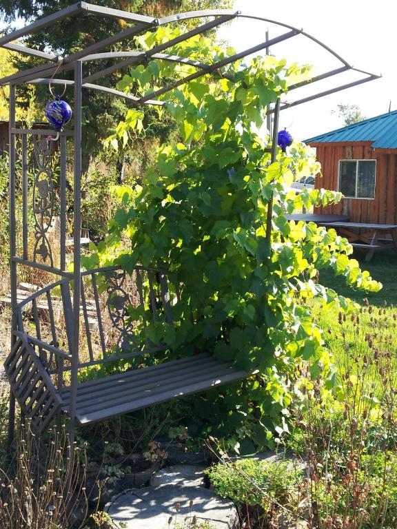 מלון Spillimacheen Steamboat Mountain Chalets מראה חיצוני תמונה