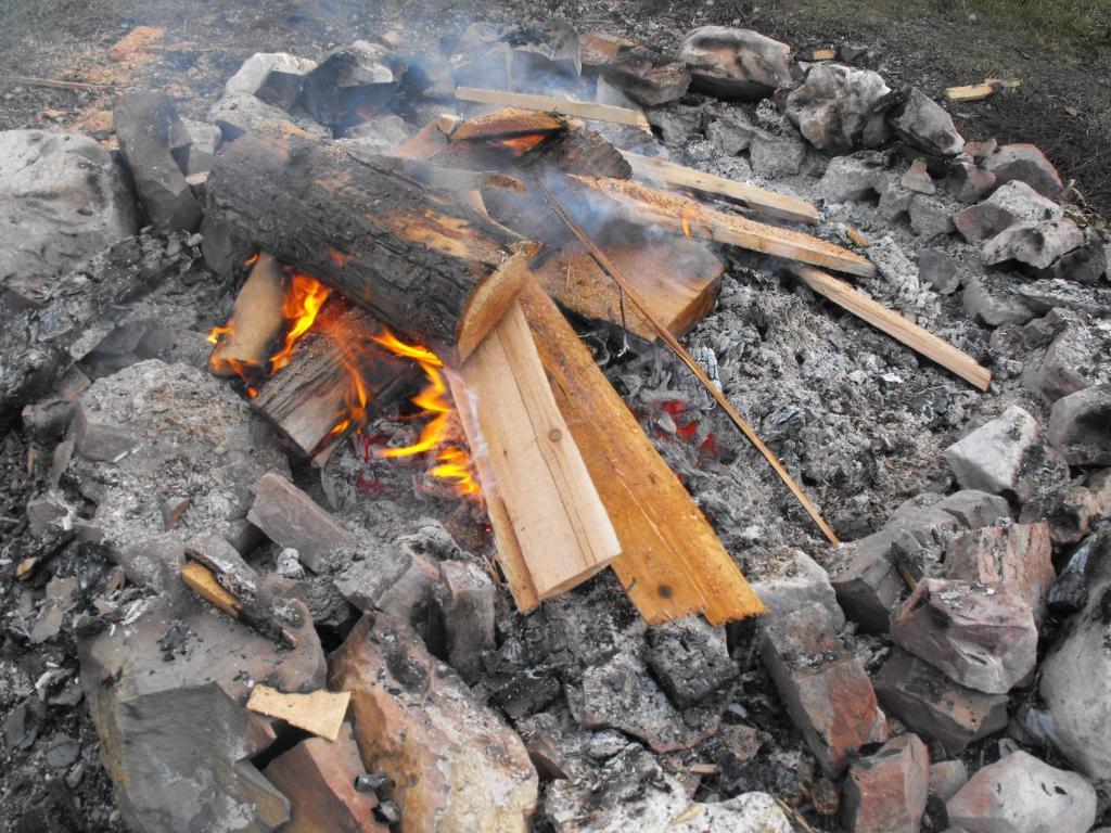 מלון Spillimacheen Steamboat Mountain Chalets מראה חיצוני תמונה